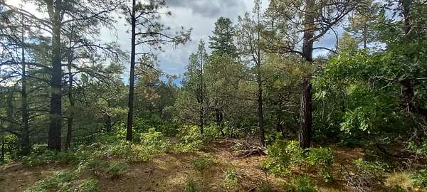 3.18 Acres of Residential Land for Sale in Chama, New Mexico