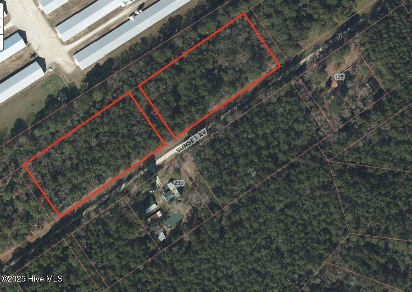 4.04 Acres of Residential Land for Sale in Willard, North Carolina