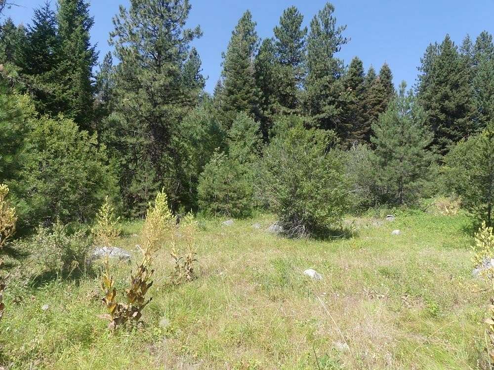 1 Acre of Land for Sale in McCall, Idaho
