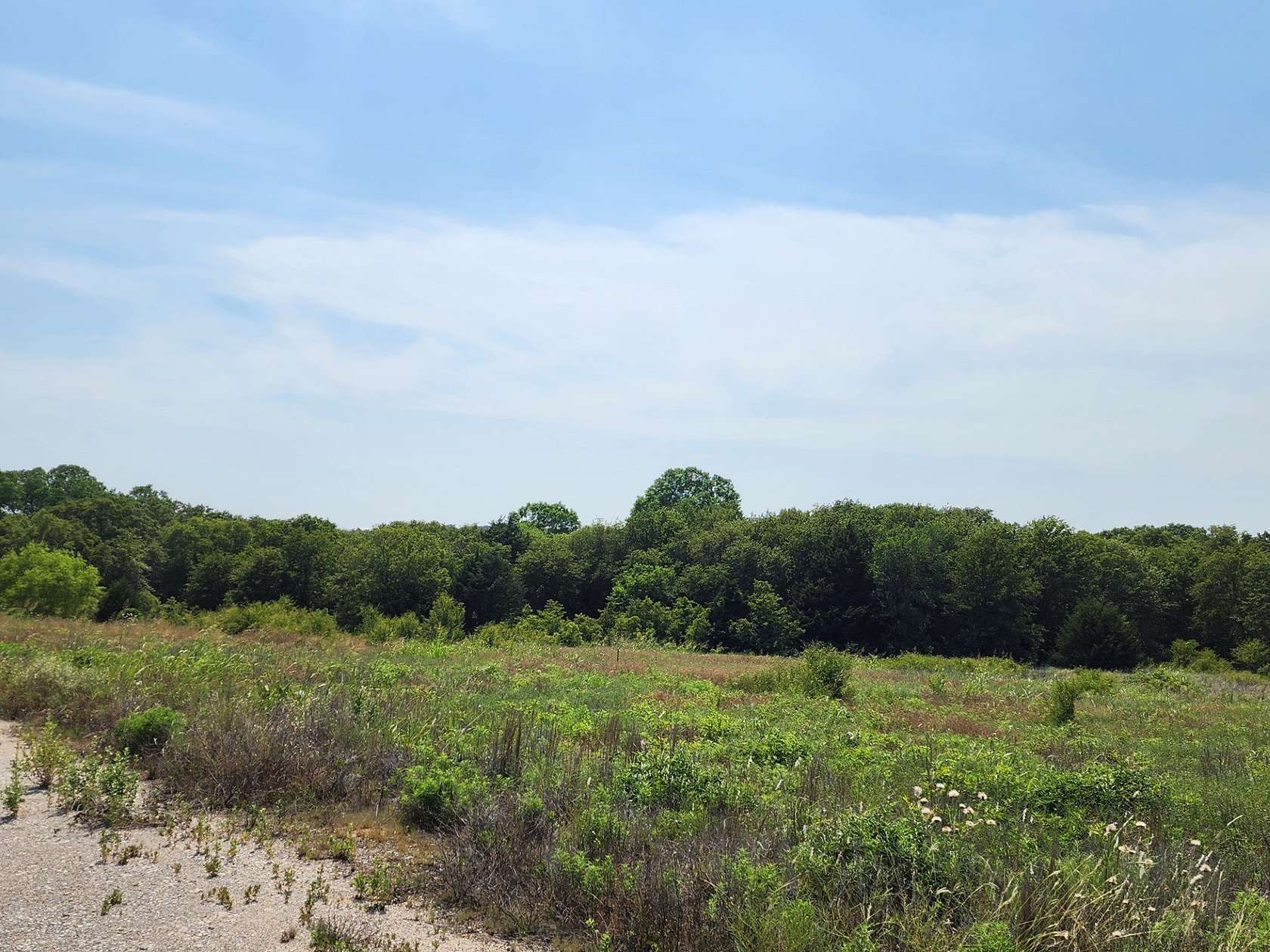 11.4 Acres of Agricultural Land for Sale in Alvord, Texas