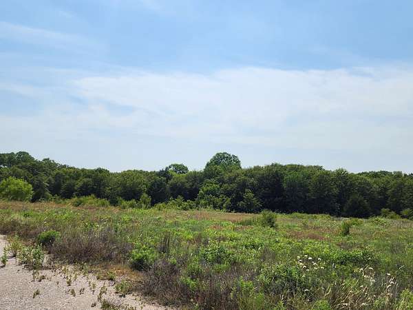 11.4 Acres of Agricultural Land for Sale in Alvord, Texas