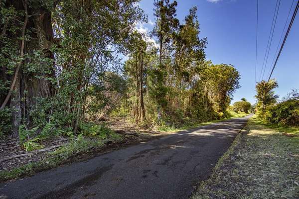 ウニカノ様 Zip Code 96778 Land for Sale - 513 Properties - LandSearch
