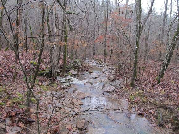 40 Acres of Recreational Land for Sale in Kingston, Arkansas