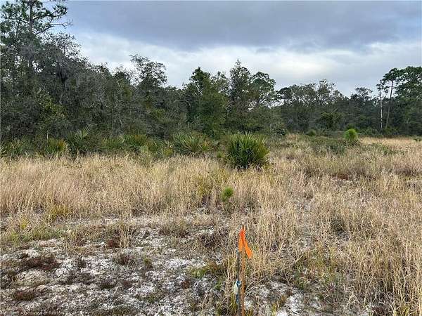 0.51 Acres of Residential Land for Sale in Sebring, Florida