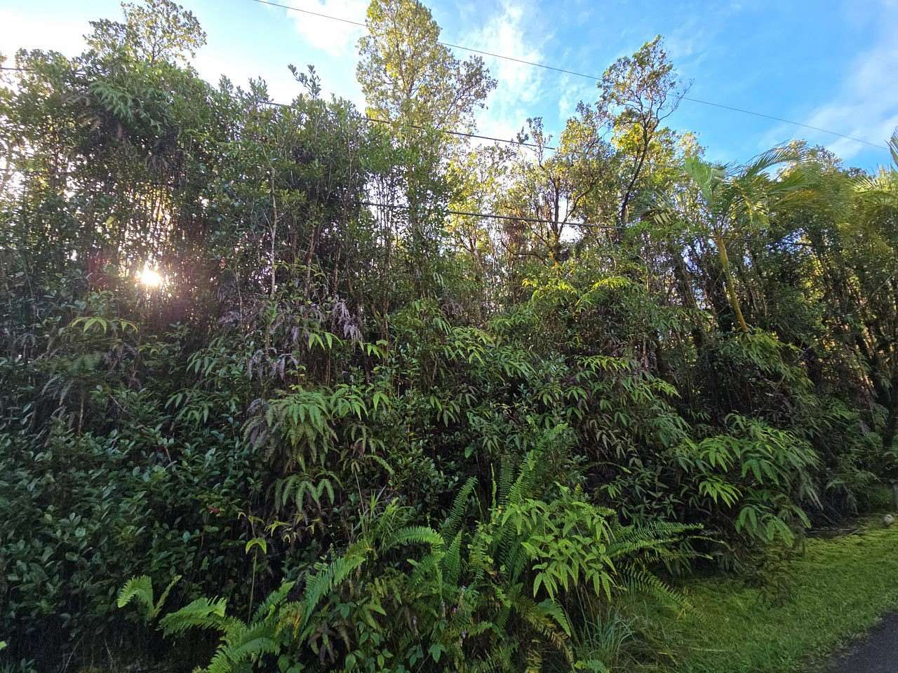 1 Acre of Residential Land for Sale in Mountain View, Hawaii