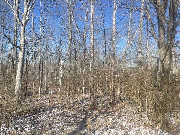 0.26 Acres of Land for Sale in Crossville, Tennessee