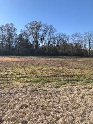 90 Acres of Land for Sale in Greenville, Alabama