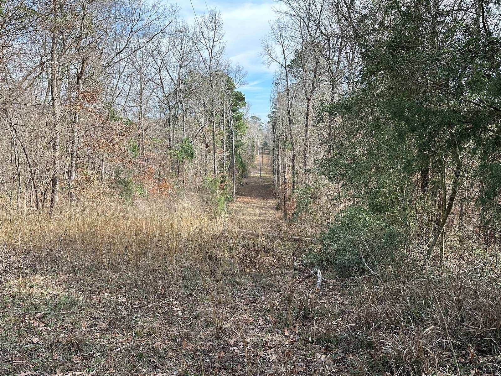 20.1 Acres of Land for Sale in Alto, Texas