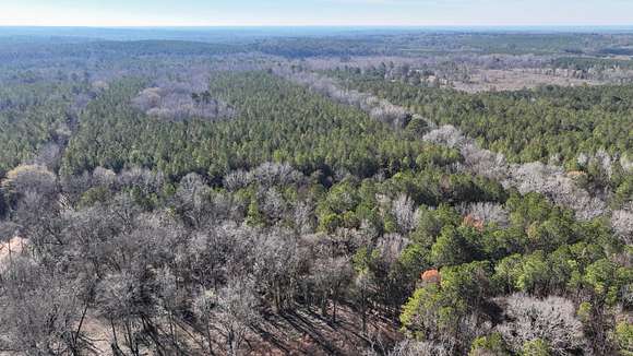 38 Acres of Recreational Land for Sale in New Hope, Mississippi