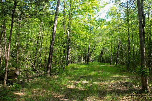 105 Acres of Recreational Land for Sale in Columbus, Mississippi