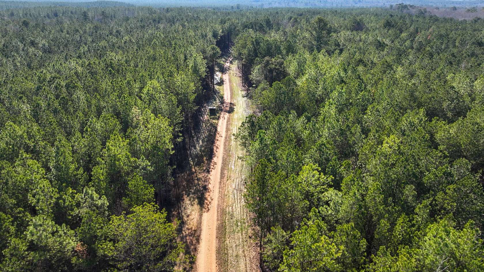 100 Acres of Recreational Land for Sale in Columbus, Mississippi