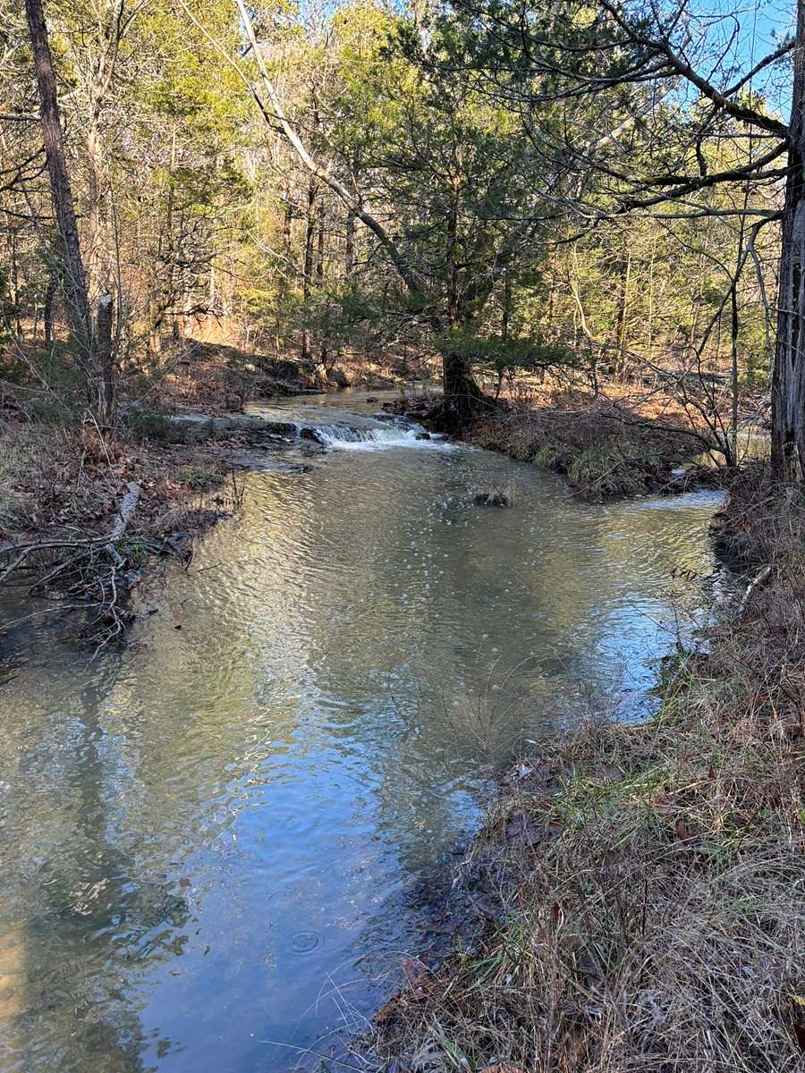 120 Acres of Recreational Land & Farm for Sale in Melbourne, Arkansas
