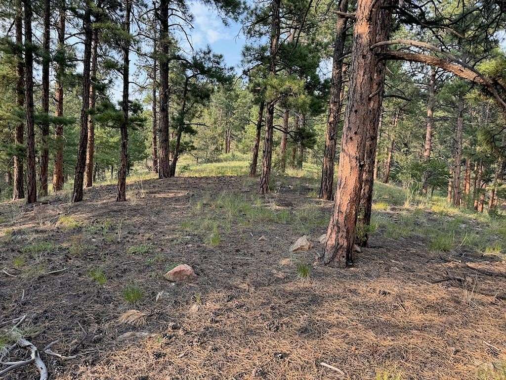 7.9 Acres of Residential Land for Sale in Silver Cliff, Colorado