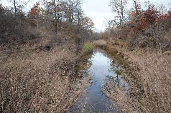 22.4 Acres of Recreational Land & Farm for Sale in Comanche, Texas