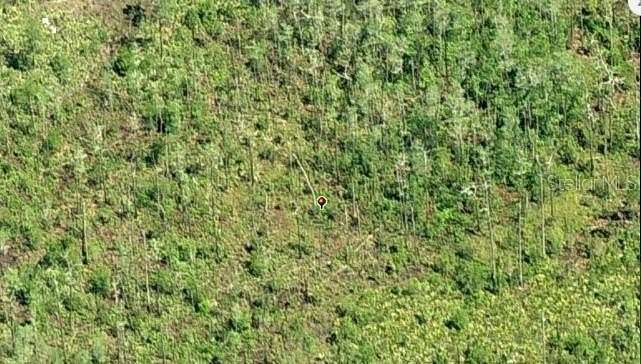 1.24 Acres of Residential Land for Sale in Orlando, Florida