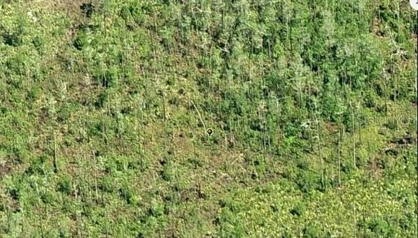 1.24 Acres of Residential Land for Sale in Orlando, Florida