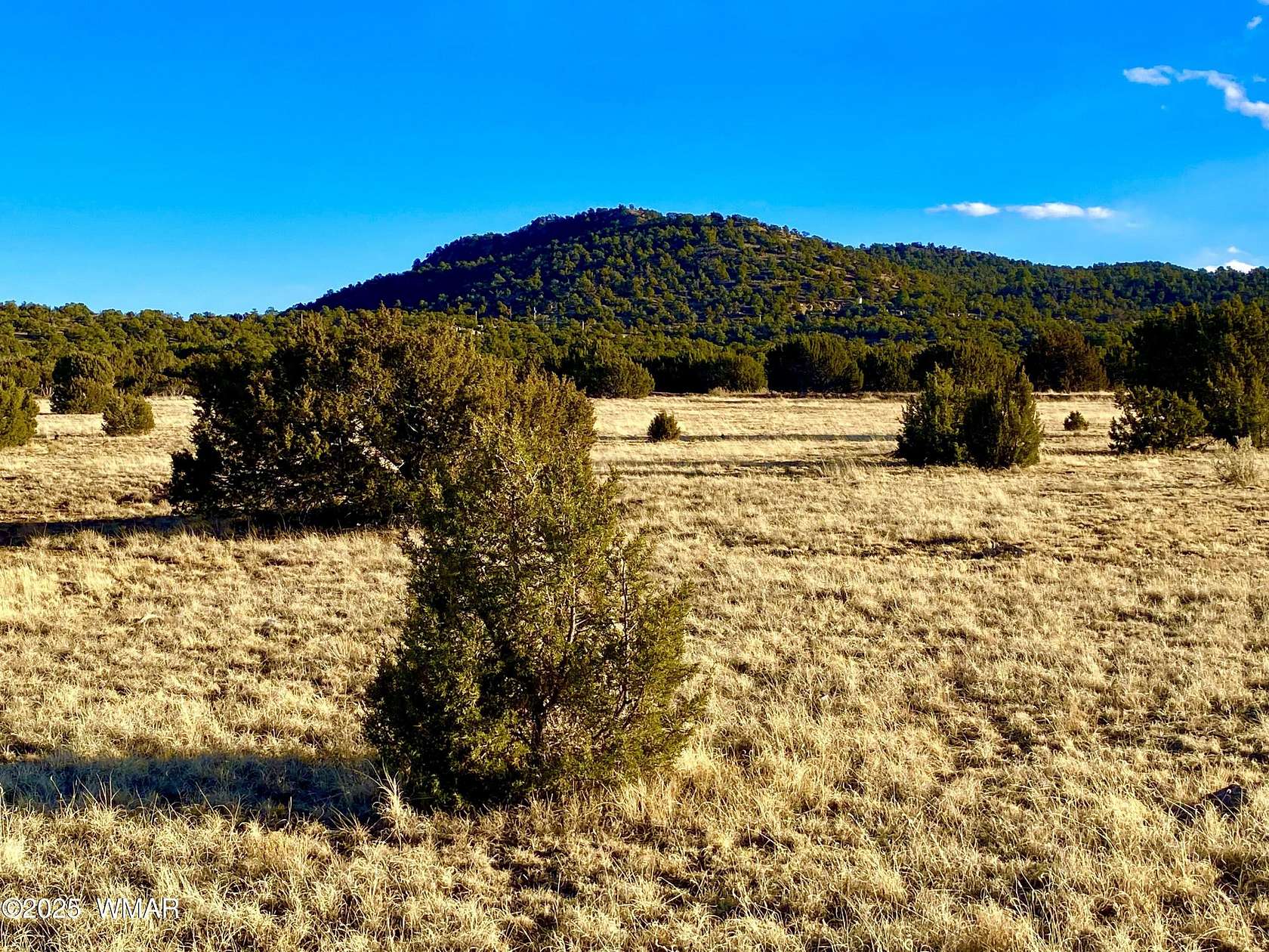 1.23 Acres of Residential Land for Sale in Concho, Arizona