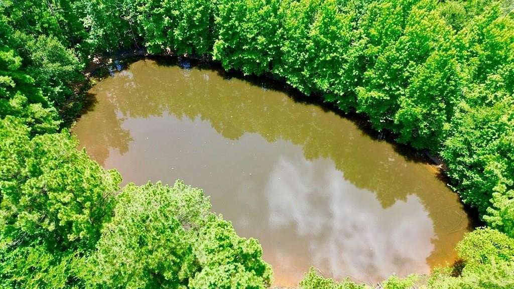12.5 Acres of Land for Sale in Grapeland, Texas