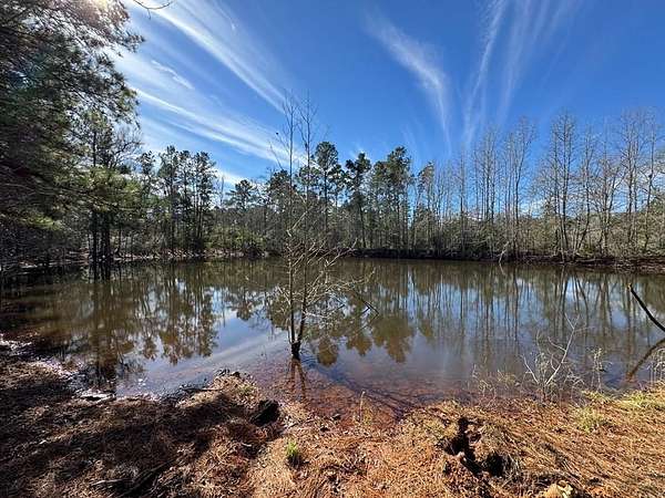 12.5 Acres of Land for Sale in Grapeland, Texas
