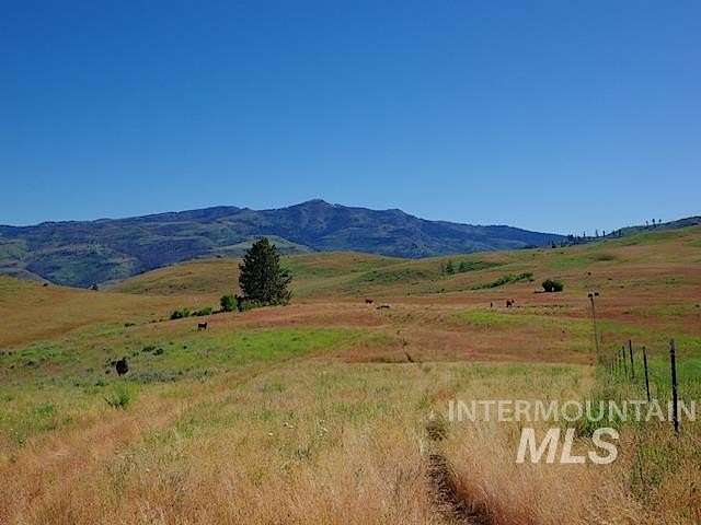 775 Acres of Recreational Land & Farm for Sale in Indian Valley, Idaho