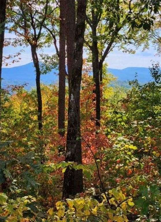 2.8 Acres of Residential Land for Sale in Ellijay, Georgia