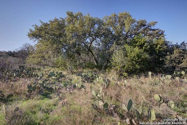 1 Acre of Residential Land for Sale in New Braunfels, Texas