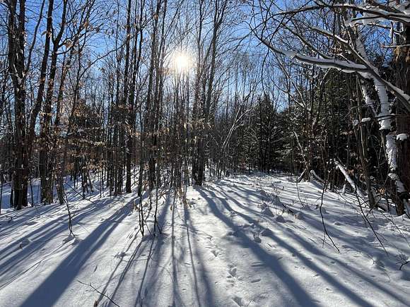 38.55 Acres of Recreational Land for Sale in Pitcairn, New York