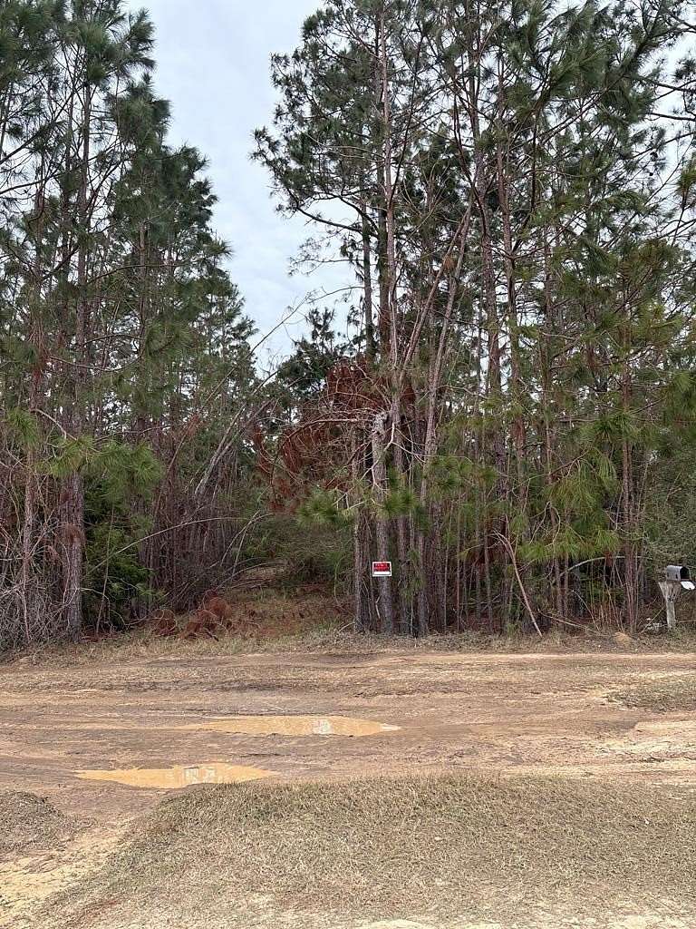 3 Acres of Residential Land for Sale in Lyons, Georgia