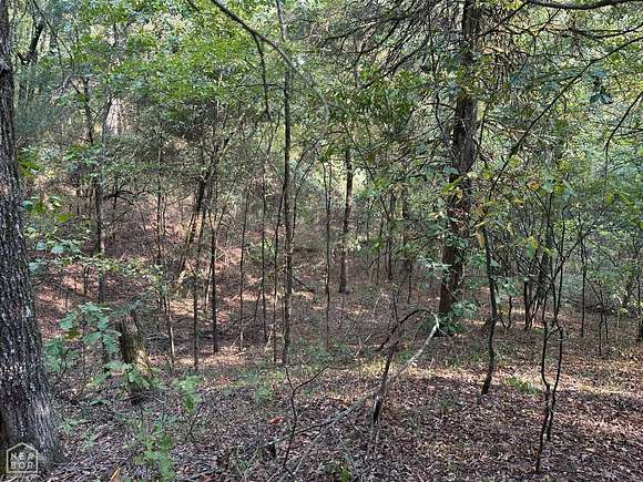 10 Acres of Land for Sale in Paragould, Arkansas