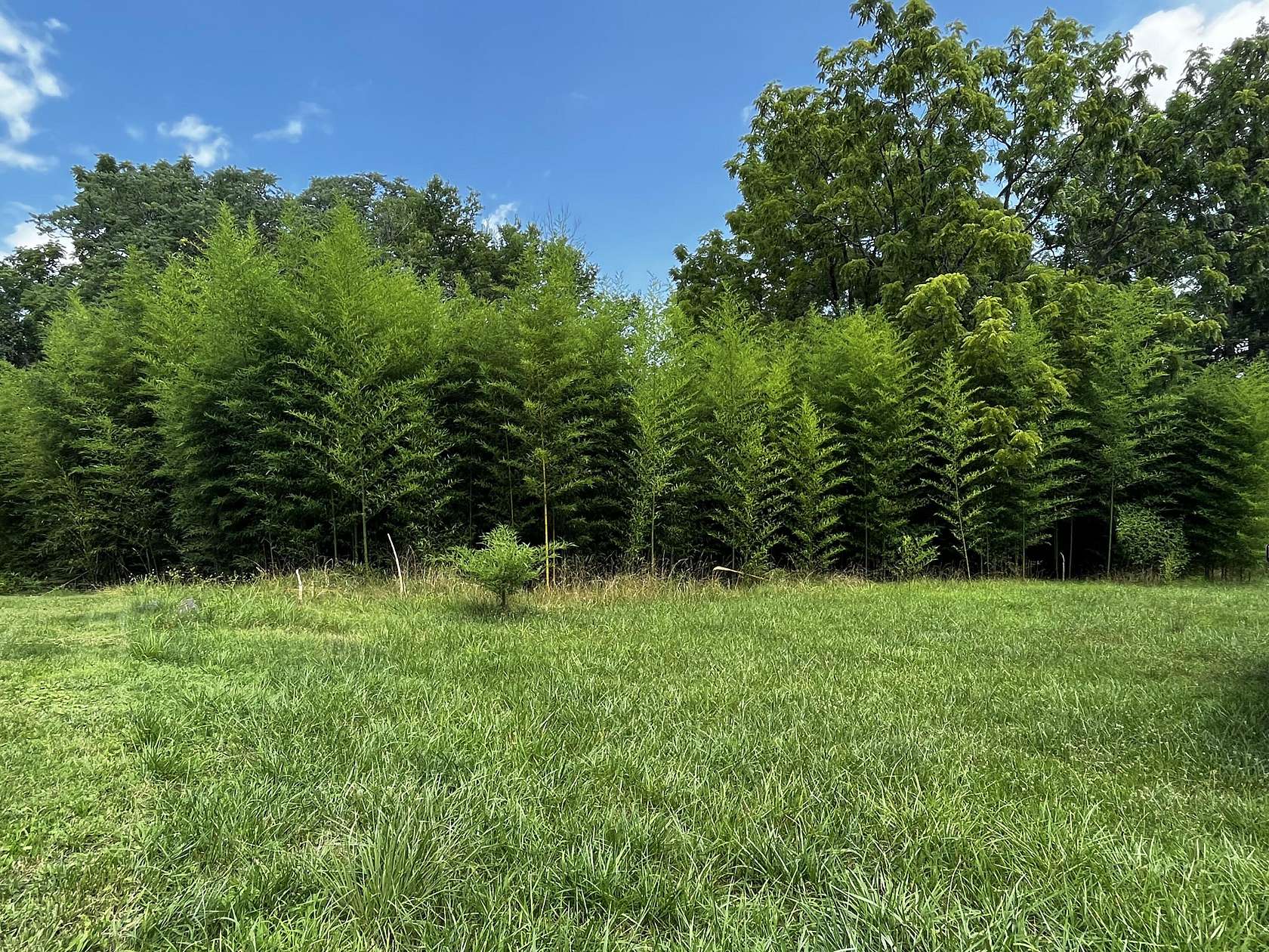 0.84 Acres of Land for Sale in Lynchburg, Virginia