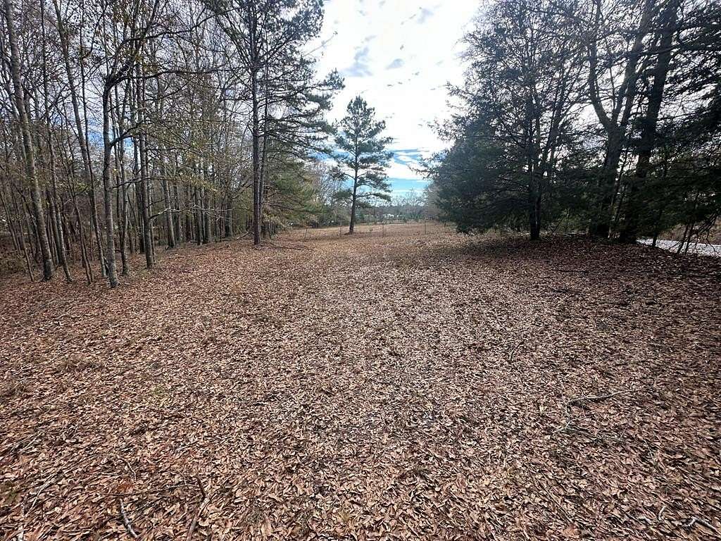 3 Acres of Residential Land for Sale in Brundidge, Alabama