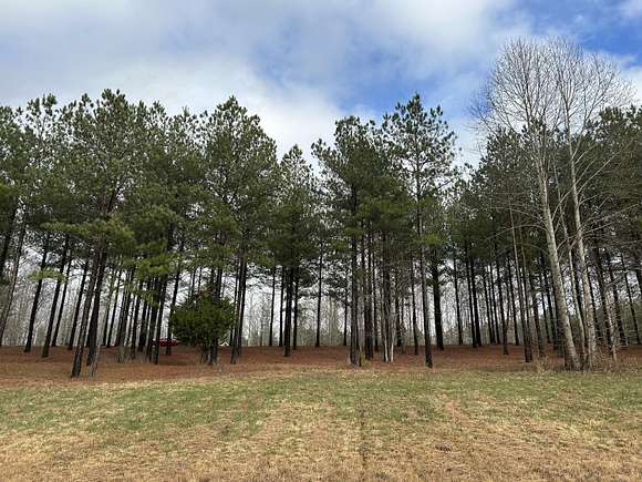 1.37 Acres of Residential Land for Sale in Jasper, Tennessee