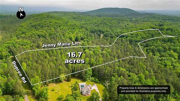 16.86 Acres of Recreational Land for Sale in Summerville, Georgia