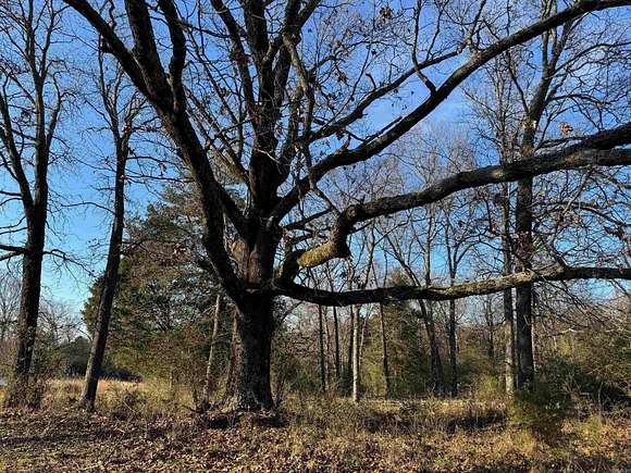 30 Acres of Land for Sale in Greenbrier, Arkansas