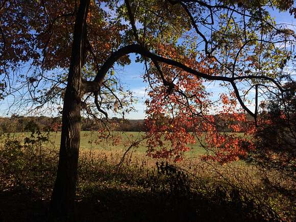 57.46 Acres of Recreational Land for Sale in Stony Point, North Carolina