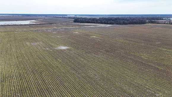 203.5 Acres of Agricultural Land for Sale in Lambert, Mississippi