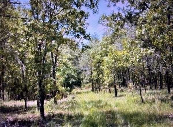 10 Acres of Land for Sale in Williston, Florida