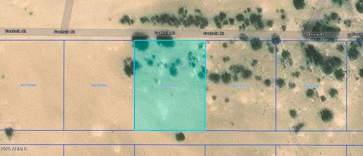 0.29 Acres of Land for Sale in Eloy, Arizona