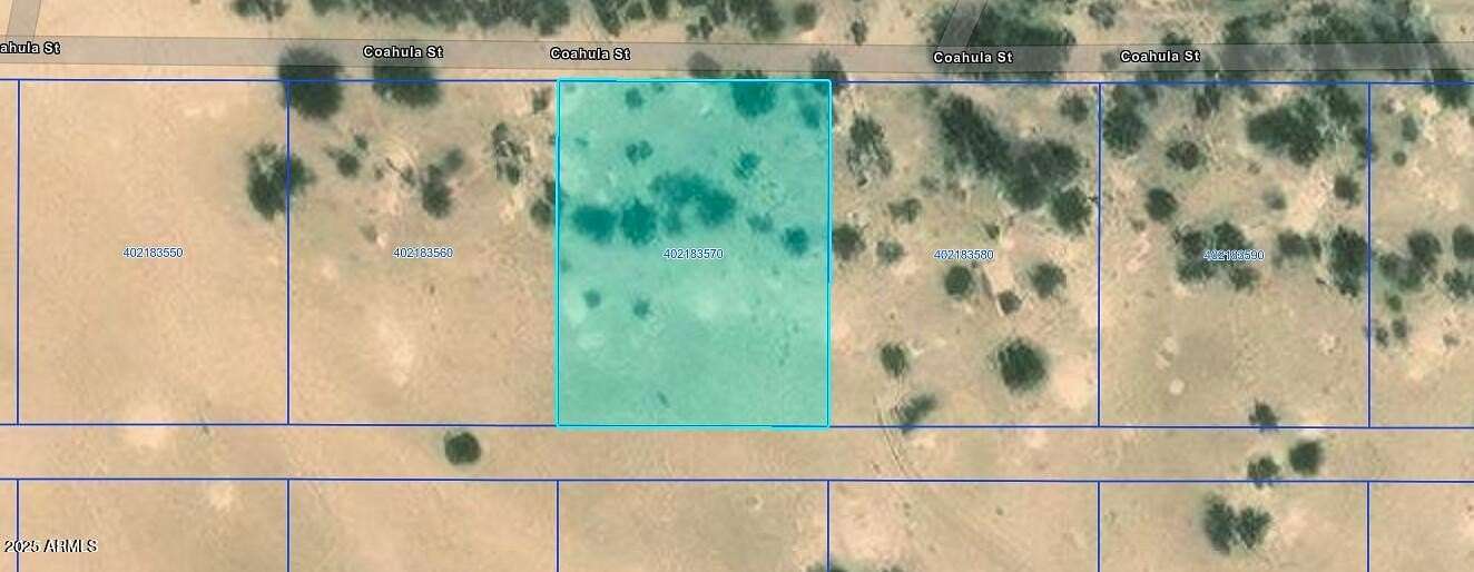 0.29 Acres of Land for Sale in Eloy, Arizona