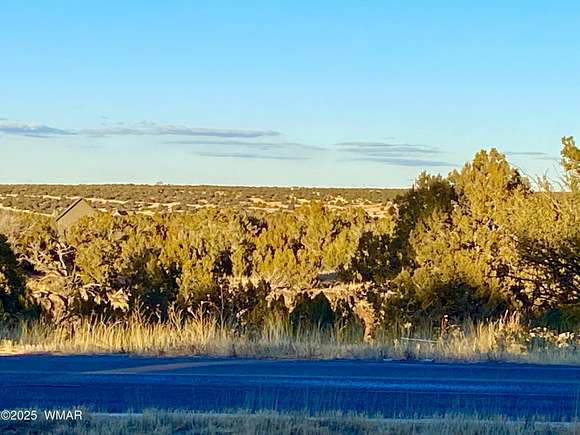 0.4 Acres of Residential Land for Sale in Show Low, Arizona