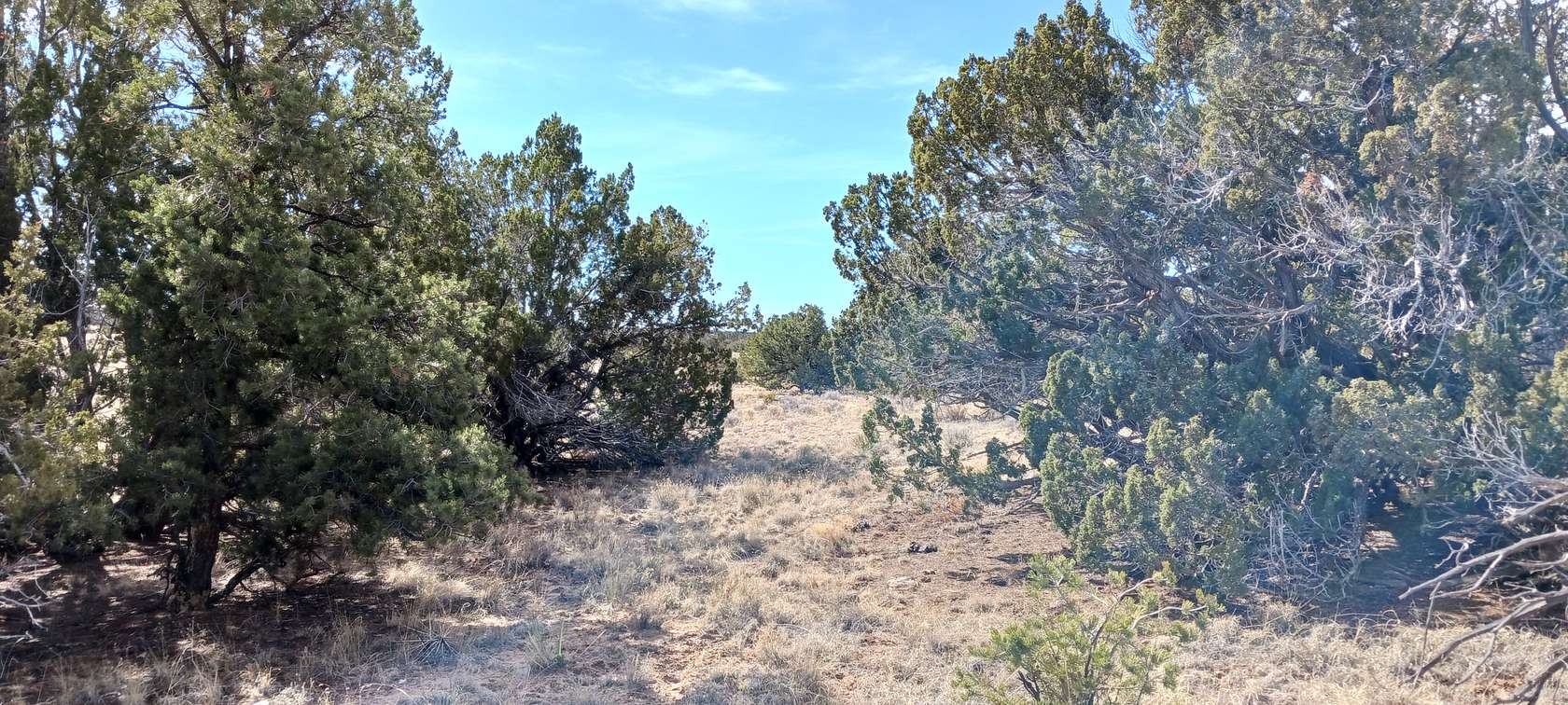 1 Acre of Residential Land for Sale in Sanders, Arizona