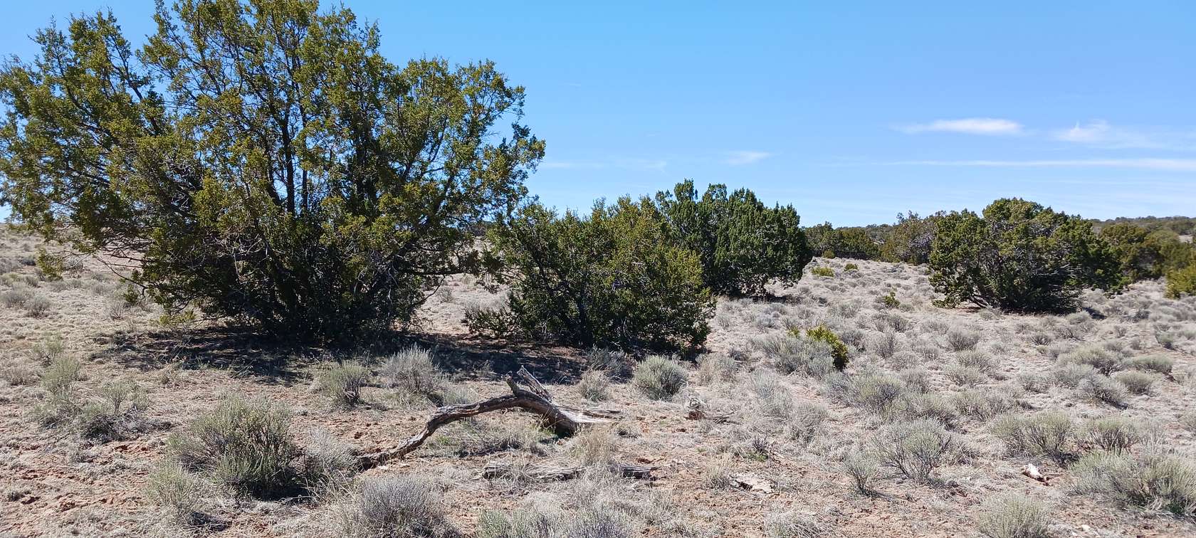 1.24 Acres of Residential Land for Sale in Sanders, Arizona