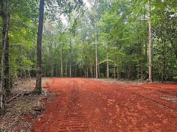 13 Acres of Agricultural Land for Sale in Magnolia, Alabama