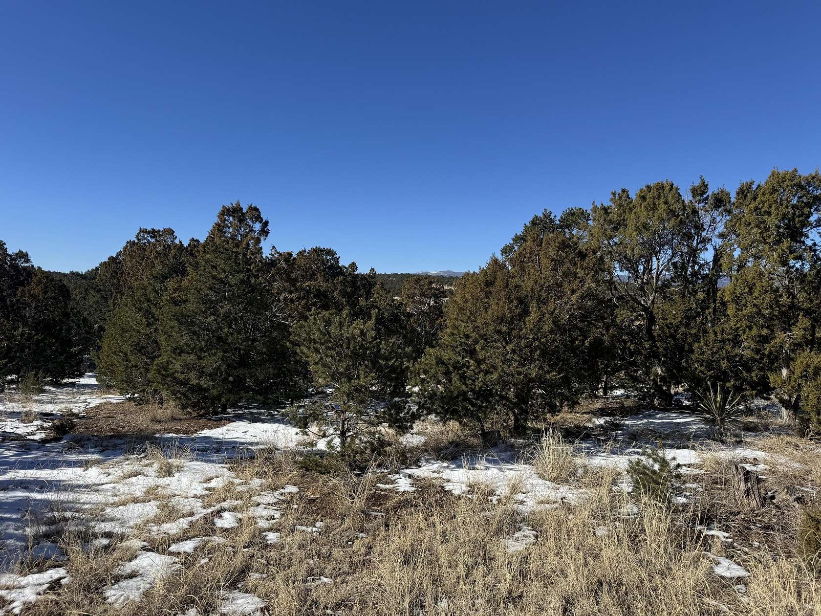 2 Acres of Residential Land for Sale in Tijeras, New Mexico