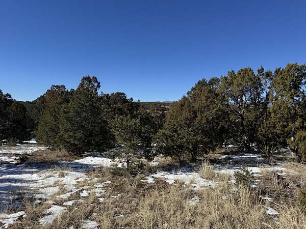 2 Acres of Residential Land for Sale in Tijeras, New Mexico