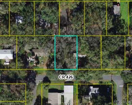 0.2 Acres of Land for Sale in Lake Panasoffkee, Florida