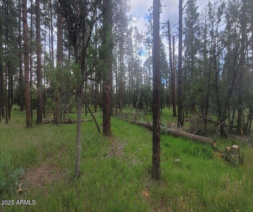 1.82 Acres of Residential Land for Sale in Lakeside, Arizona