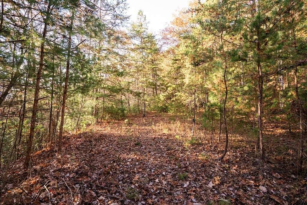 1 Acre of Residential Land for Sale in Franklin, North Carolina