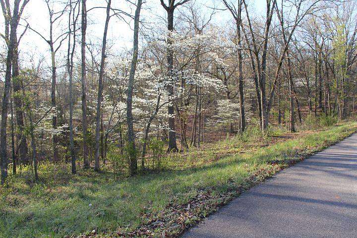 1.38 Acres of Residential Land for Sale in Steelville, Missouri