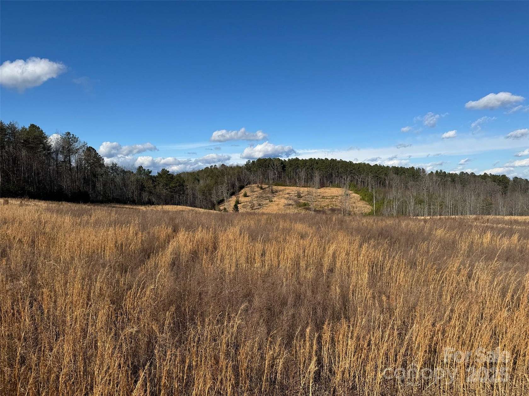 39.36 Acres of Land for Sale in Mill Spring, North Carolina